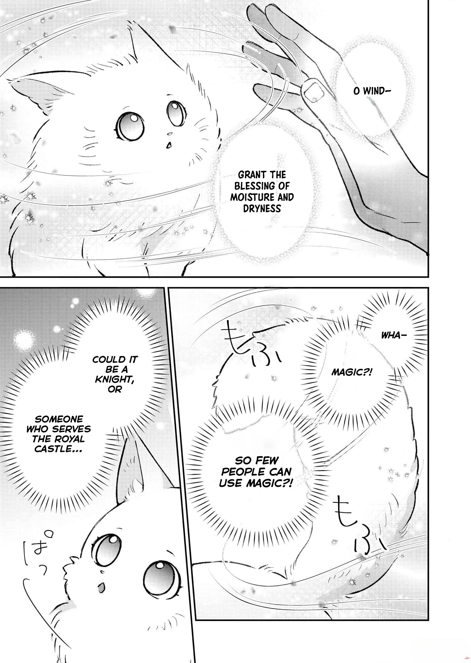 The Lady Betrayed by Her Fiancé Is Beloved by the Stern Lord Chapter 1 Page 20